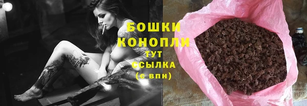 сатива Ессентукская