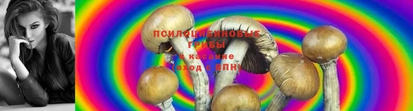 а пвп мука Баксан